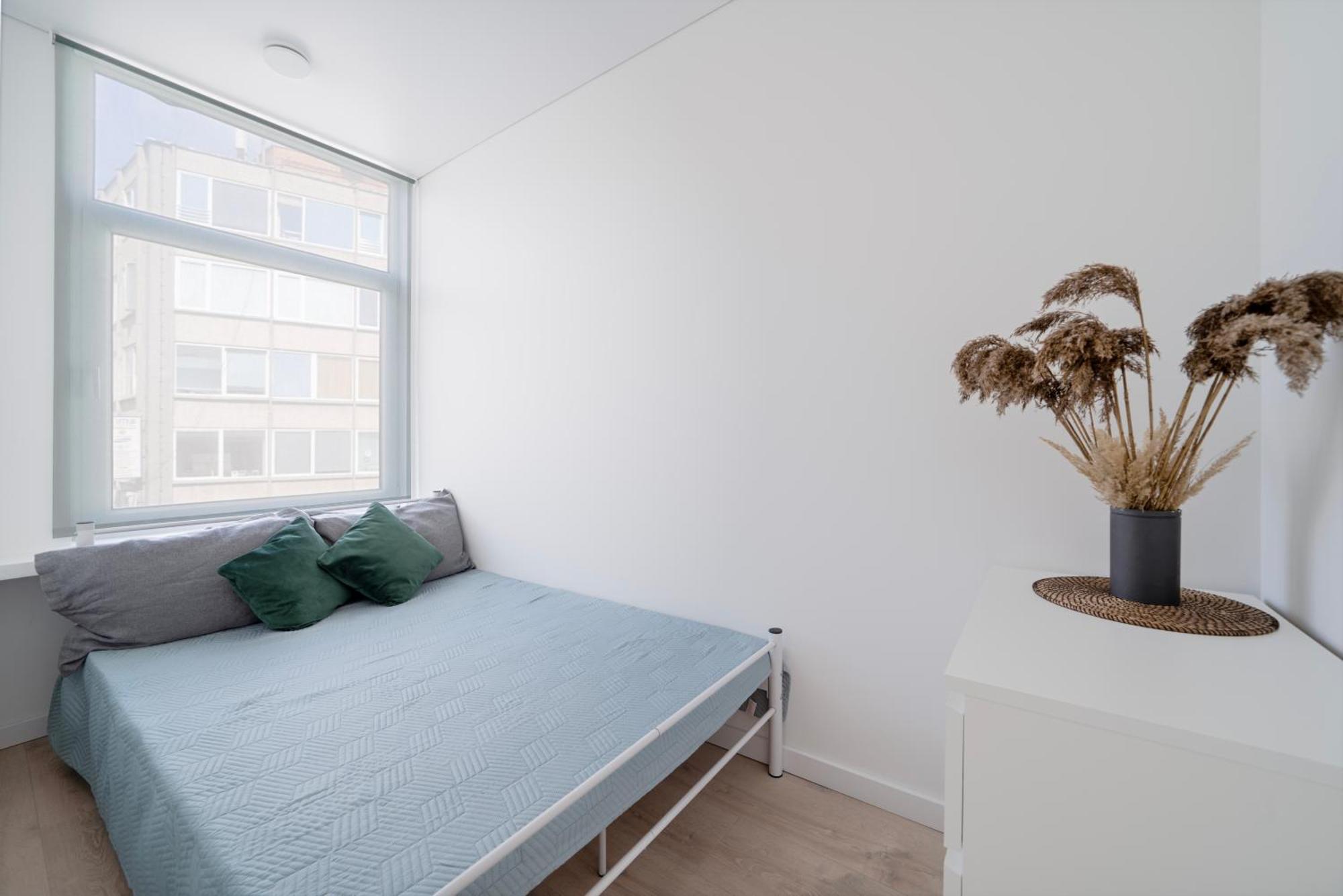 Cozy 1bedroom With Sofa Bed - Sleeps 4 Leilighet Vilnius